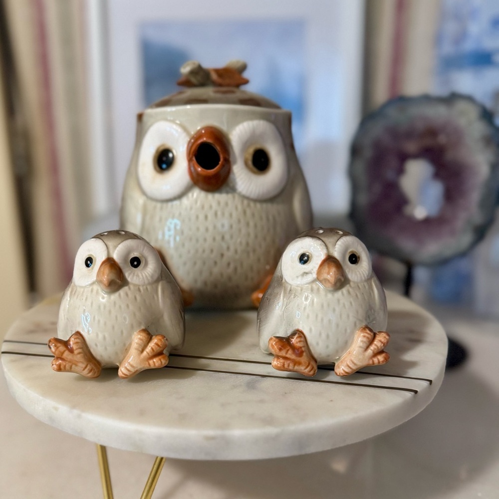 Fitz and Floyd Owl Ceramic Trio - Tea Pot and Salt and Pepper Shakers.